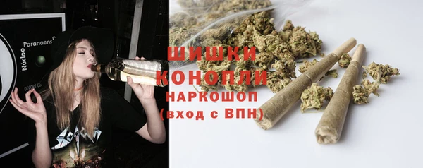 мдпв Няндома