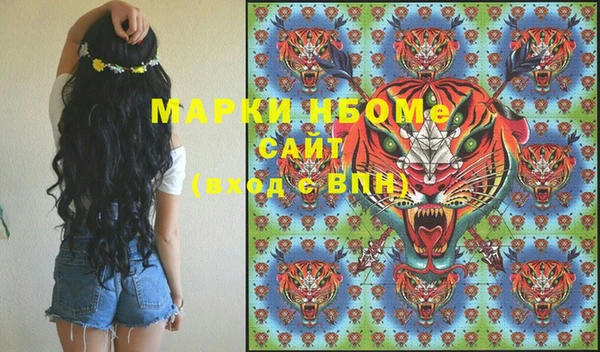 мдпв Няндома